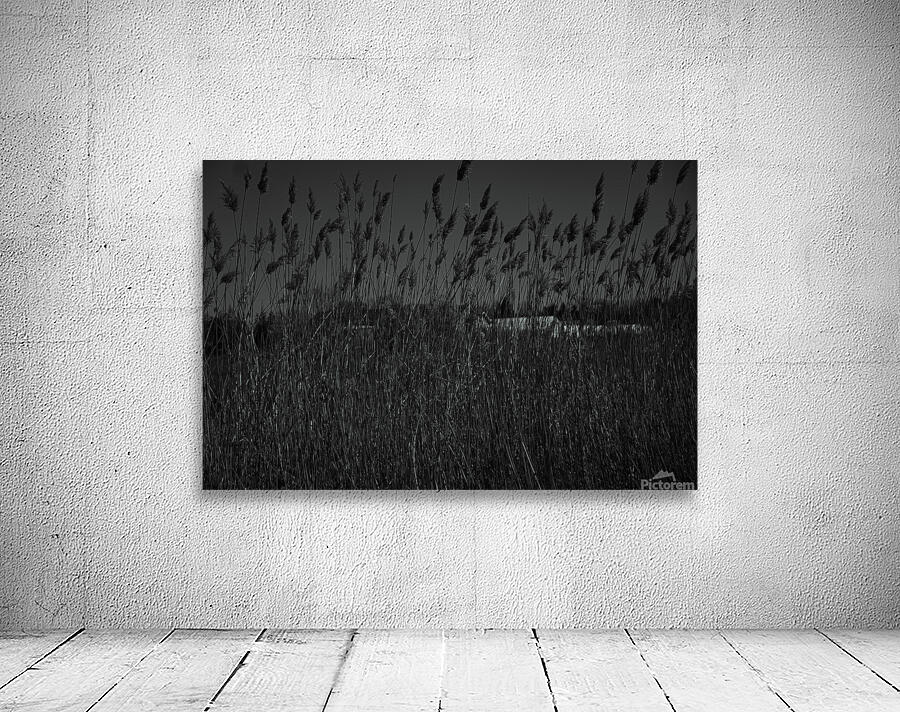 GIO00450 Wall Preview
