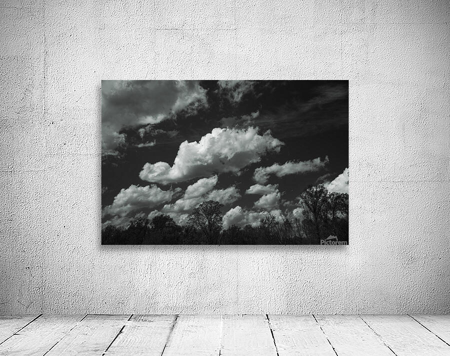  GIO1508 Wall Preview