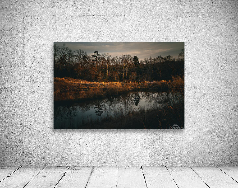  GIO1419 Wall Preview