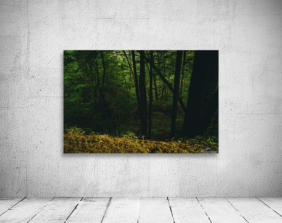 GIO00465 Wall Preview