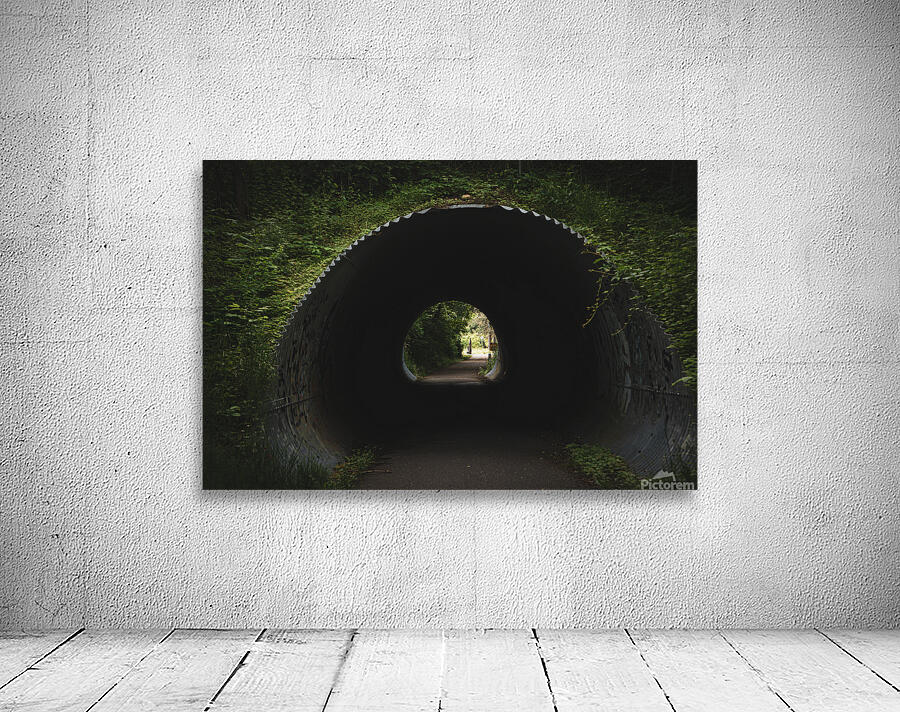 GIO00488 Wall Preview
