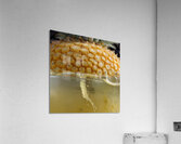 Art 3D color artificial 1 Acrylic Print