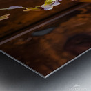 1715088879837 formatjpegbig Metal print