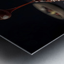 1715089054672 formatjpegbig Metal print