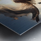 Default Girl in billowing bellows ghostly etherea 1715440552.1888 Metal print