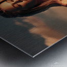 a captivating photograph of a young woman and cat 1715440550.2098 Metal print