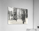 Before the Storm  Acrylic Print