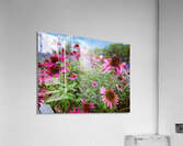 City Garden Acrylic Print