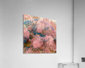 Garden Flare Acrylic Print