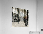 May Snowfall Acrylic Print