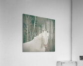 Lovely  Acrylic Print