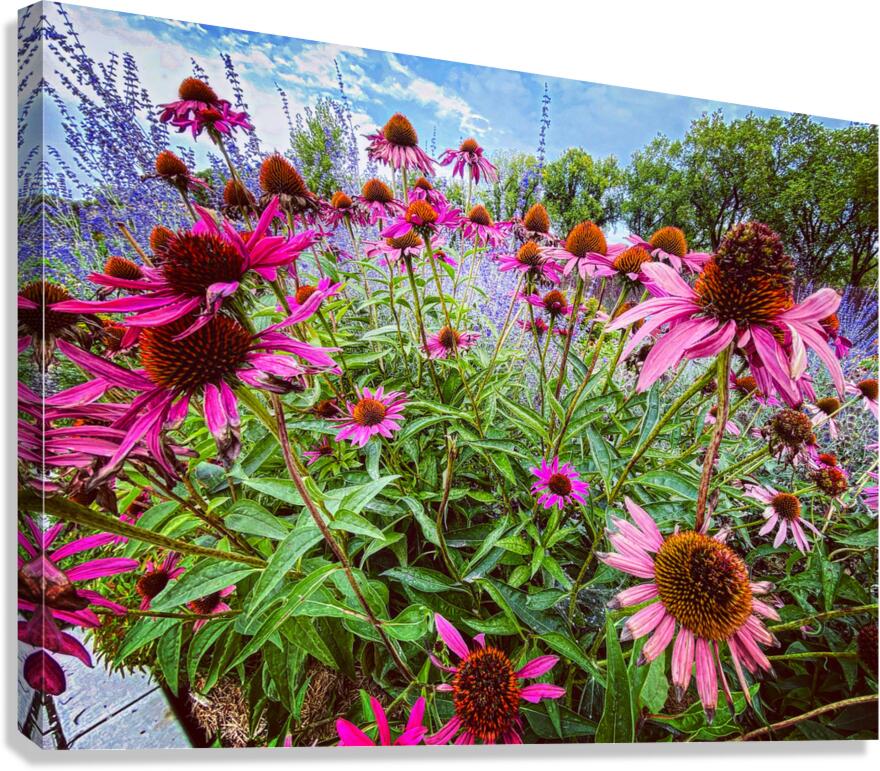 City Garden Canvas Print