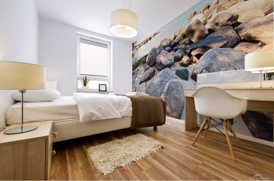 Rocky Walk Mural print