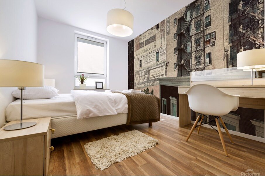 Street View Mural print