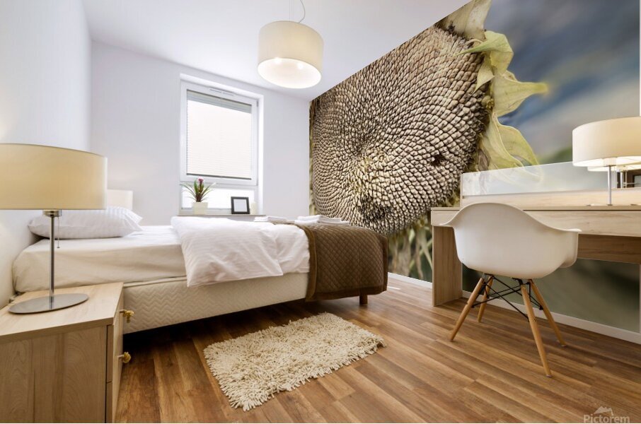 Sunflower Mural print