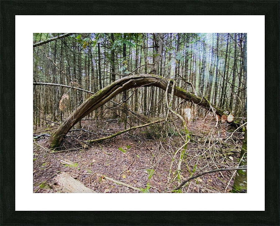 Bent Out Picture Frame print