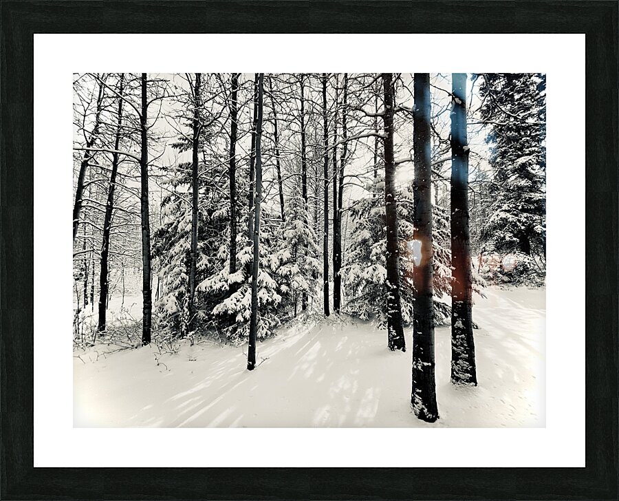 Before the Storm  Picture Frame print