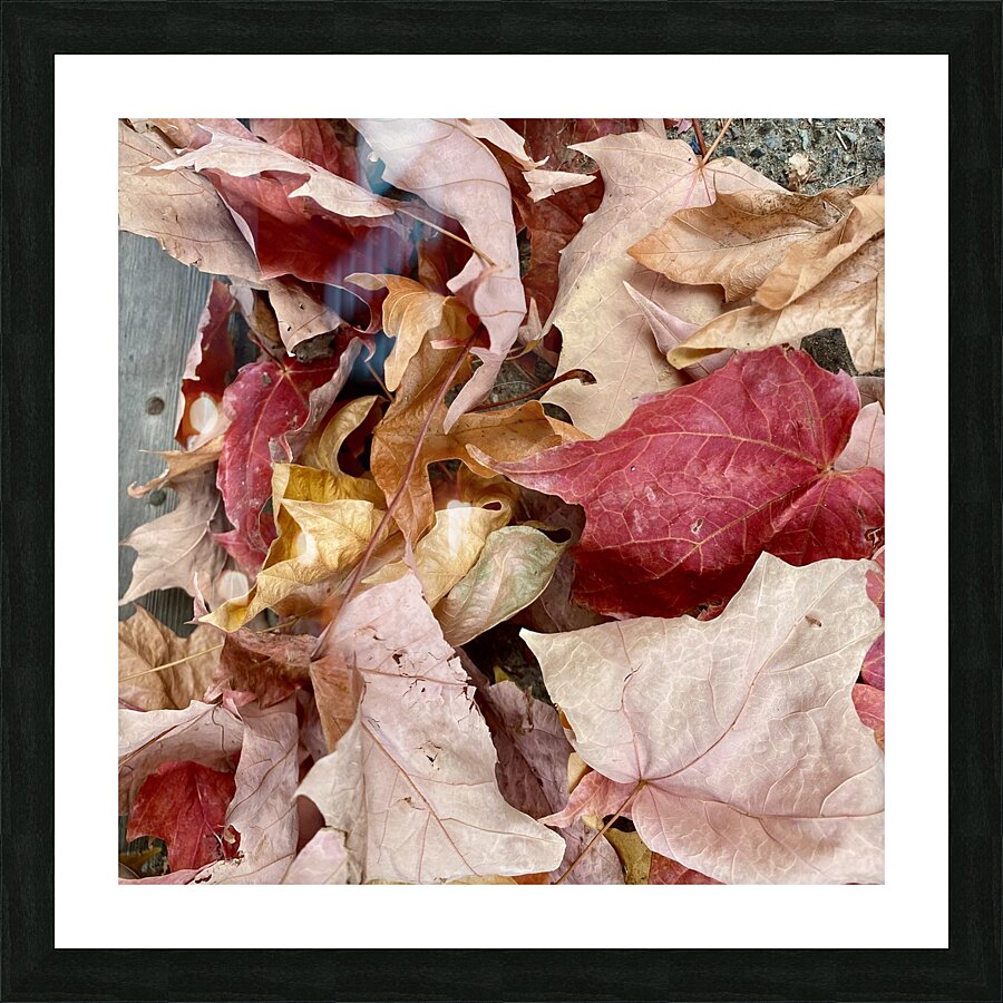 After the Fall Picture Frame print