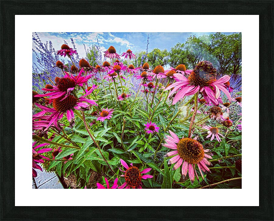 City Garden Picture Frame print