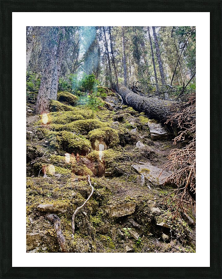 Uphill Picture Frame print