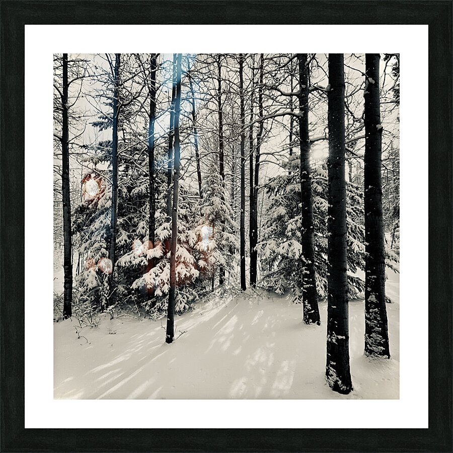 May Snowfall Picture Frame print