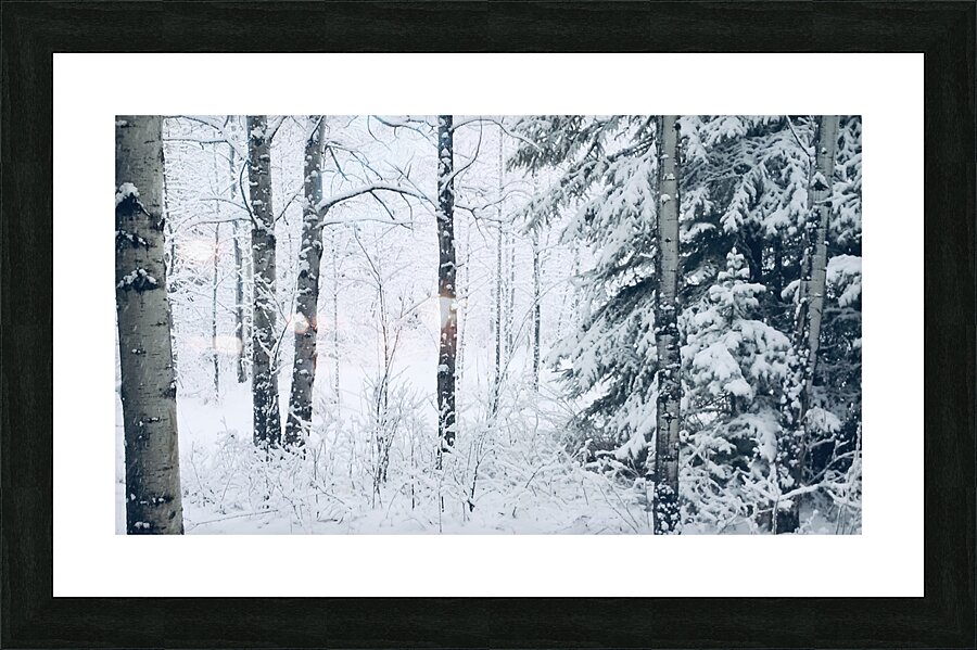 First Snowfall Picture Frame print