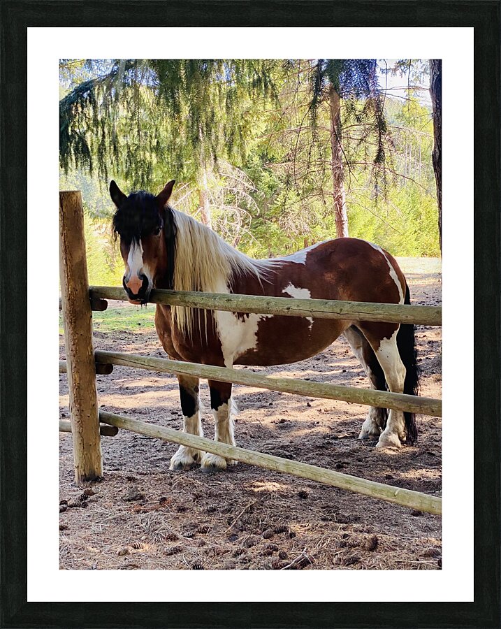 Waiting for You Picture Frame print