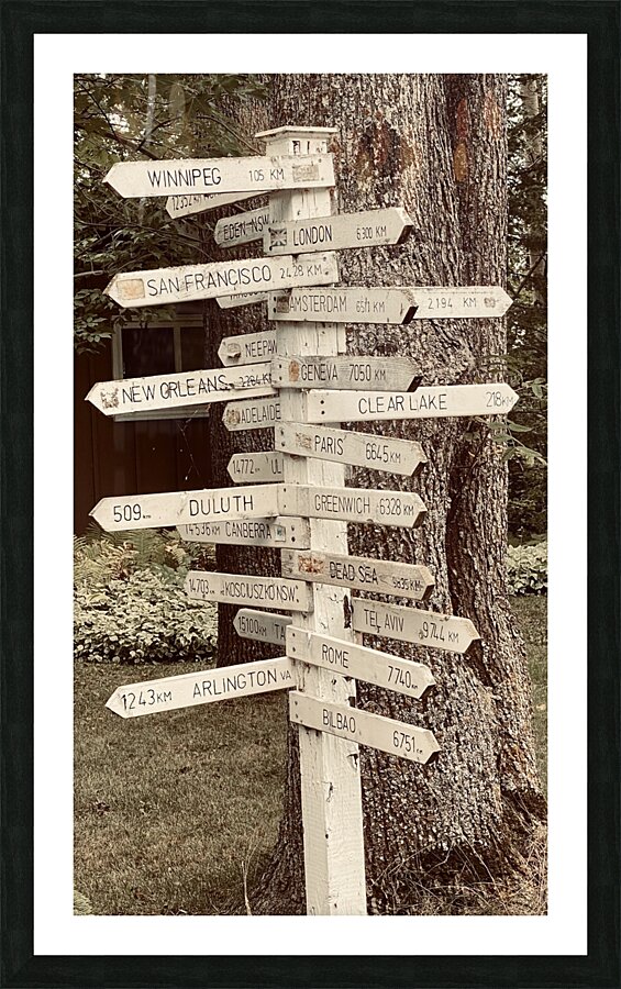 What Direction will I Go Picture Frame print
