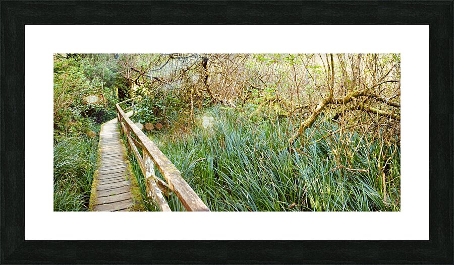 Green Serene Picture Frame print