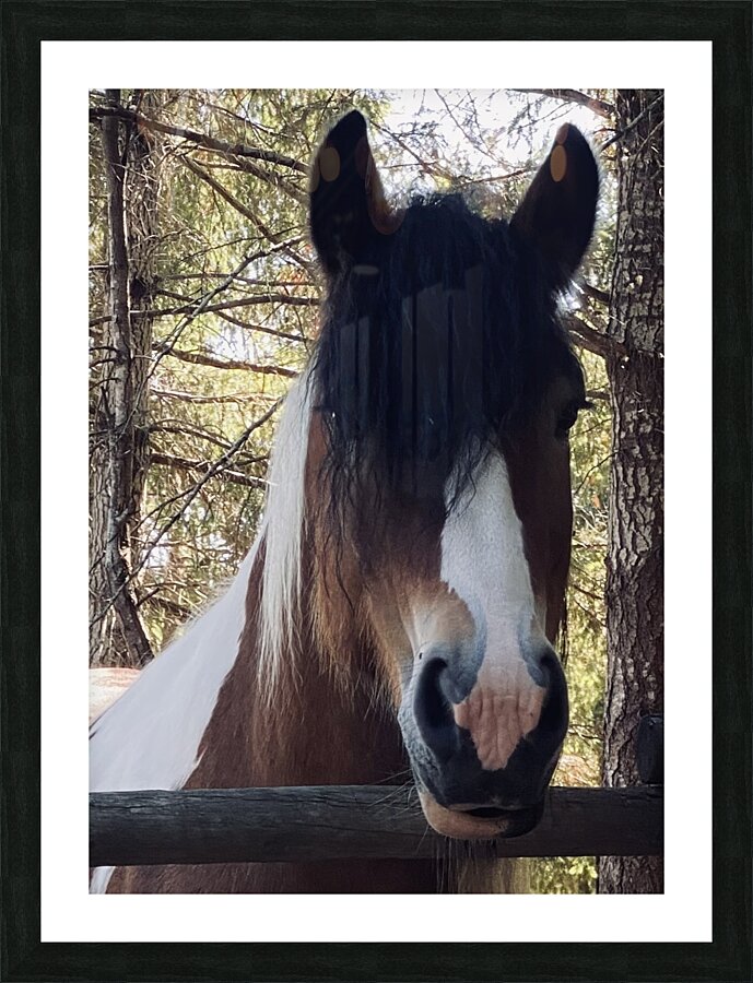 After the Ride Picture Frame print