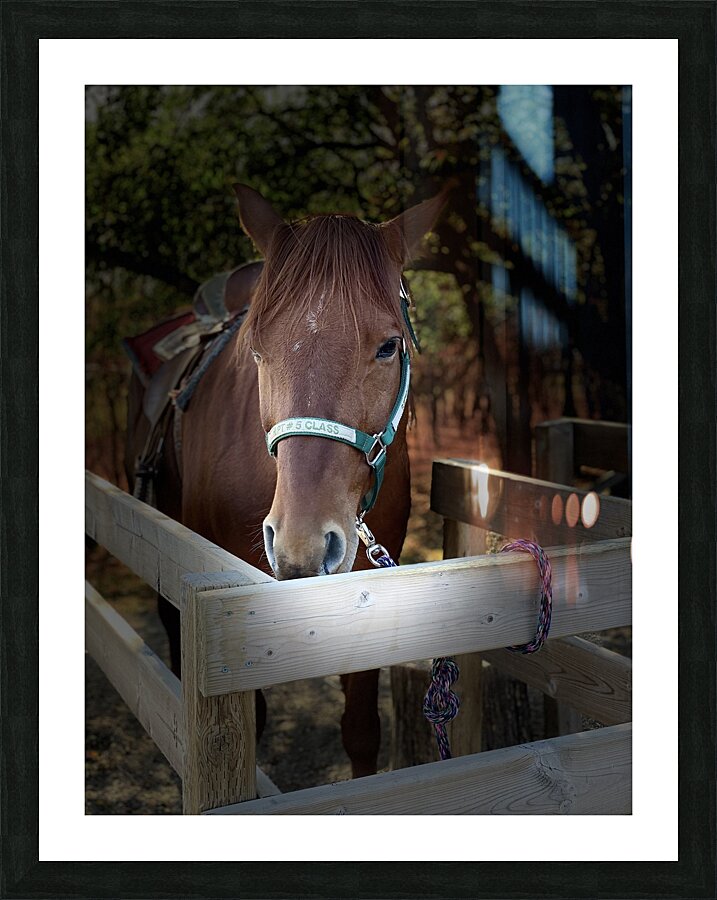Before the Ride Picture Frame print