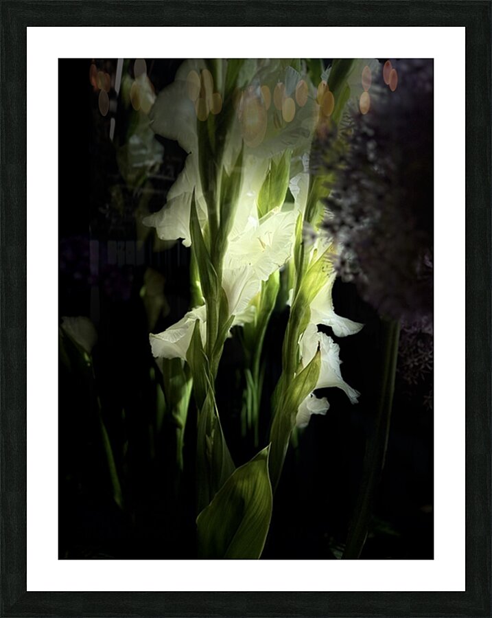 Lightly Seen Picture Frame print
