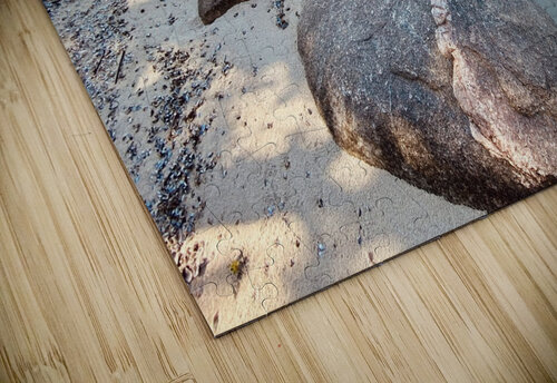 Rocky Walk Deborah Jean puzzle