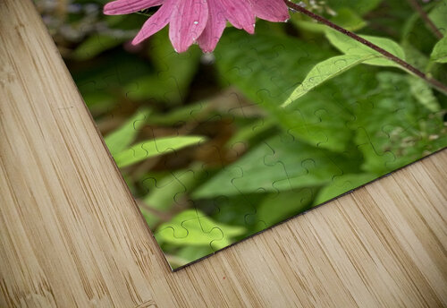 Sleepy Flowers Deborah Jean puzzle