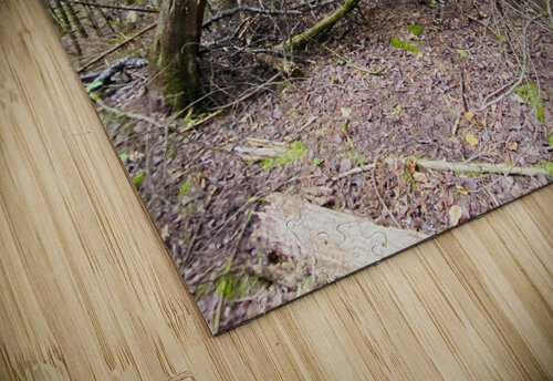 Bent Out Deborah Jean puzzle