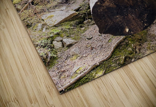 Tree Break Deborah Jean puzzle