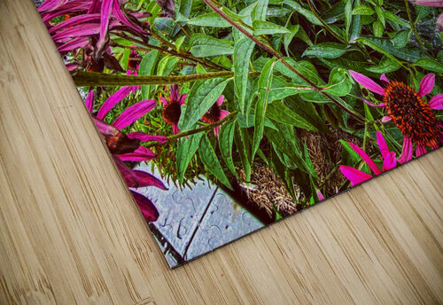City Garden Deborah Jean puzzle