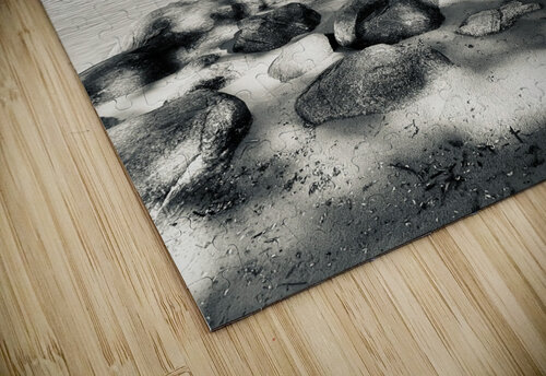Beachfront Moment Deborah Jean puzzle