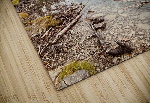 wait by the water Deborah Jean puzzle