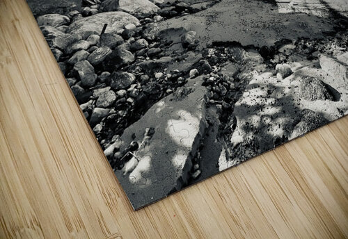 The old Shoreline Deborah Jean puzzle