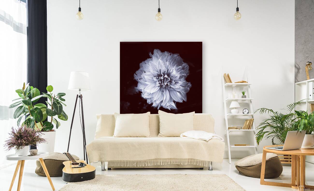 Wallflower Reproduction
