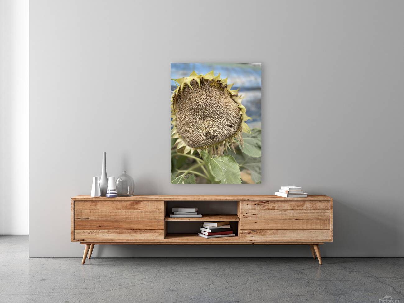 Sunflower Reproduction