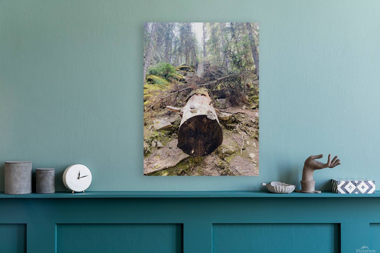 Tree Break Reproduction