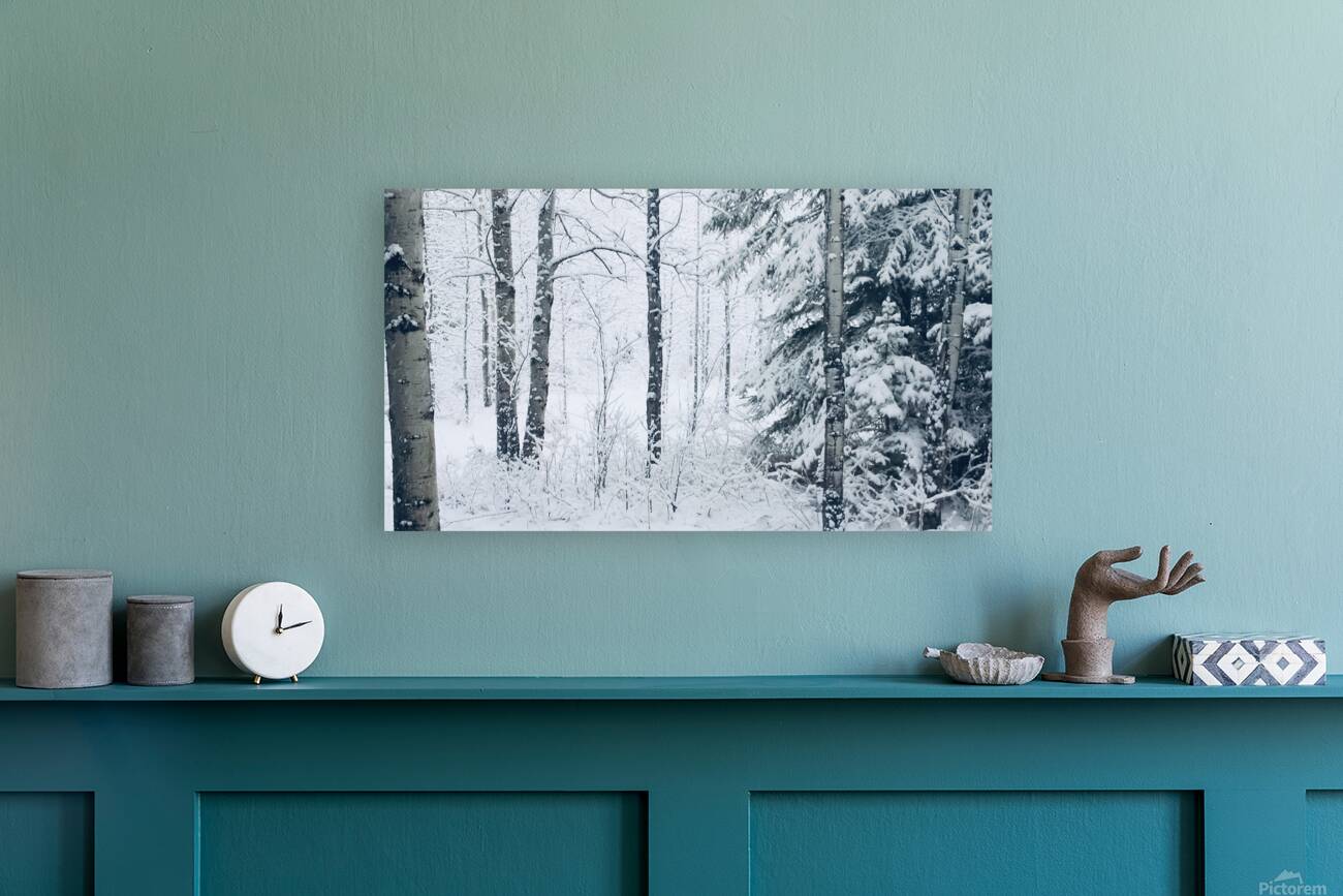 First Snowfall Reproduction