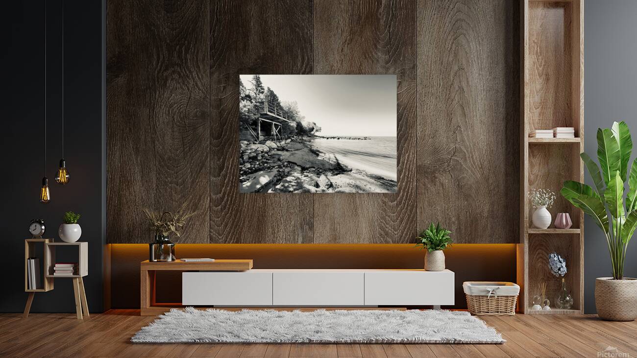 The old Shoreline Reproduction