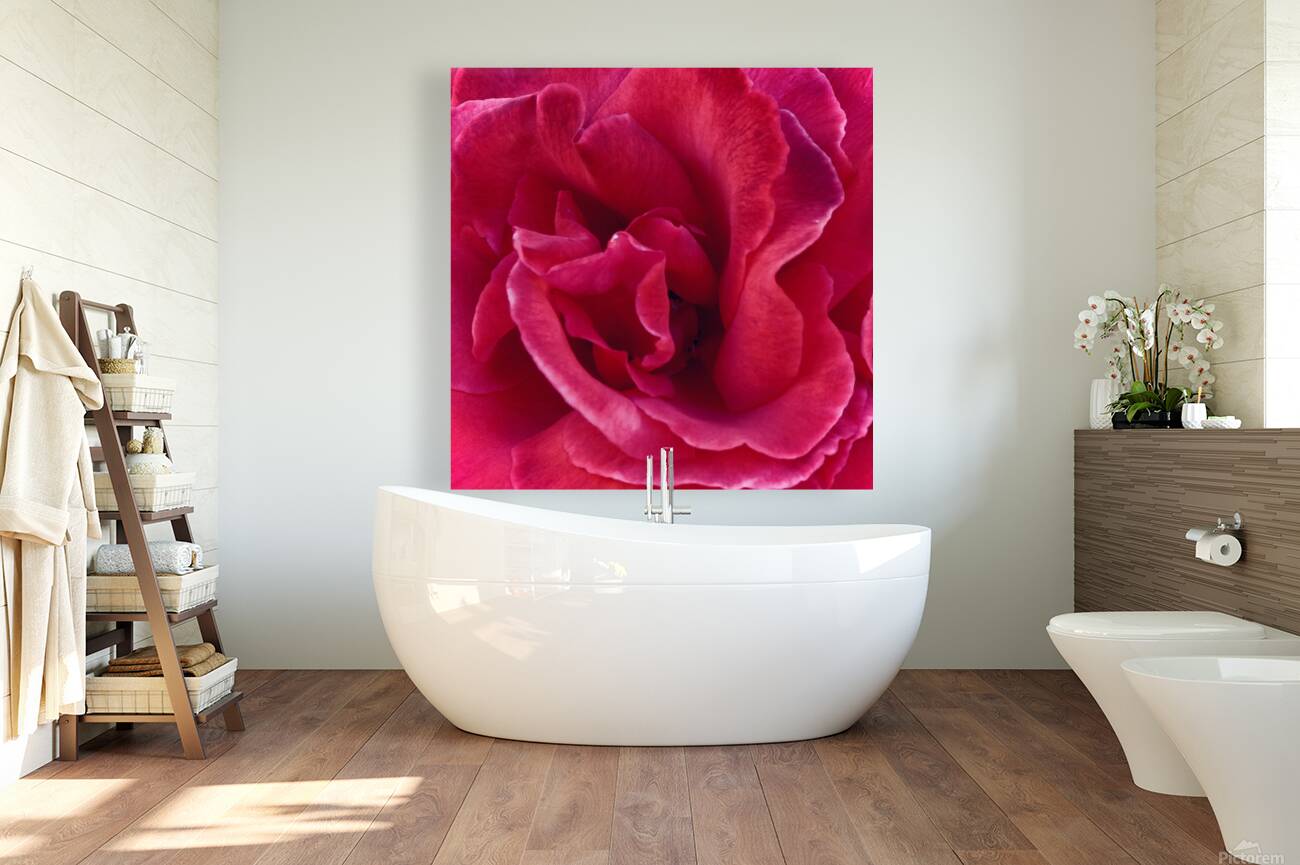 Rose Reproduction
