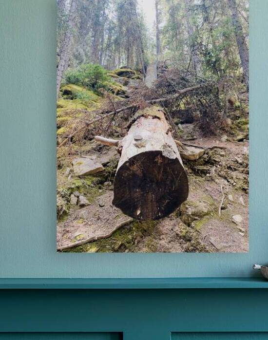 Tree Break Reproduction