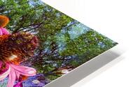 City Garden HD Metal print