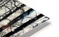 May Snowfall HD Metal print