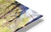 Waiting for You HD Metal print